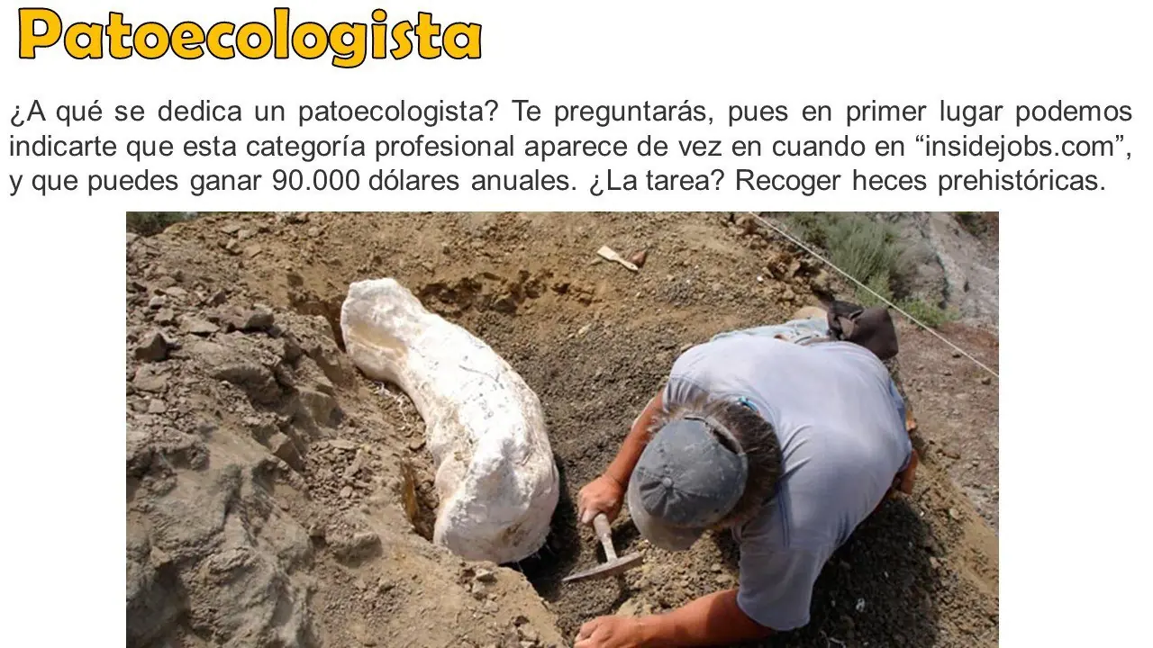 Los trabajos mas raros del mundo