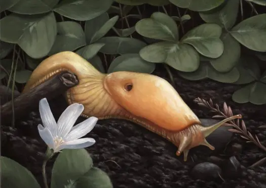 criaturas criaturas