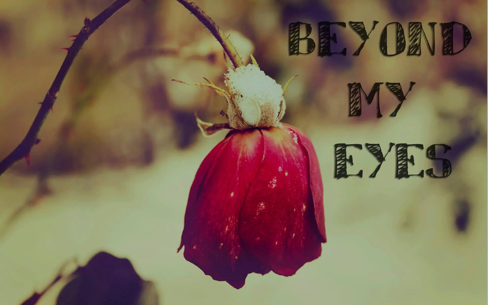 Beyond My Eyes Capitulo 6