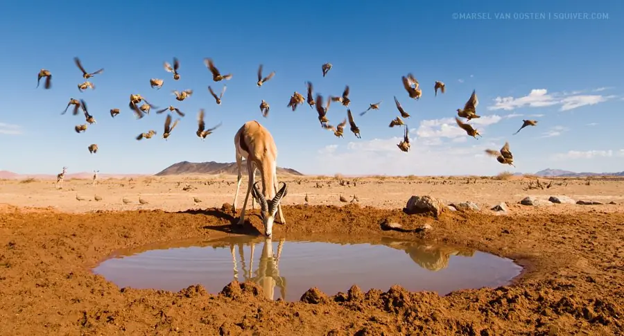 Las 25 mejores fotos de esta semana [9] [500px]