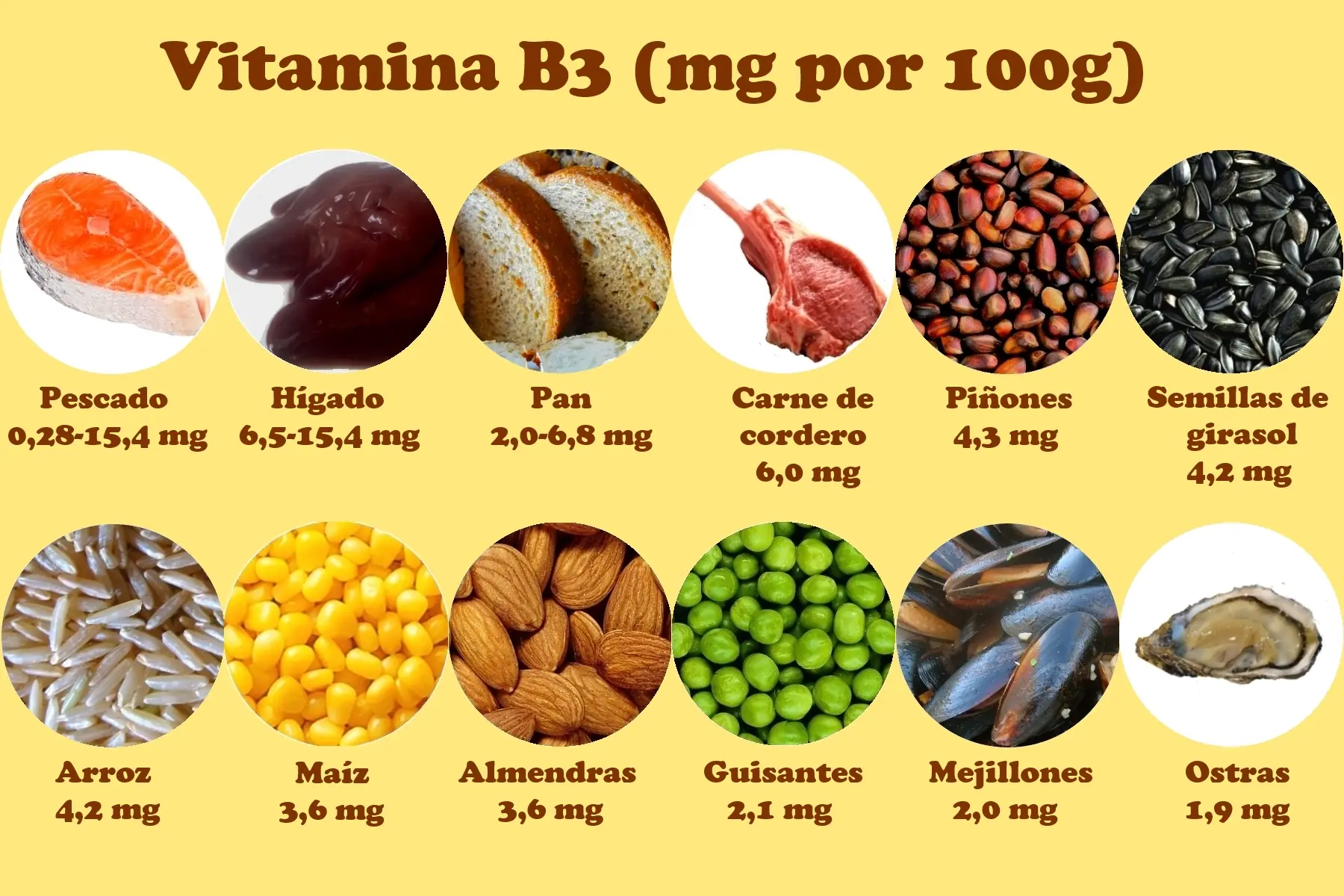 alimentacion