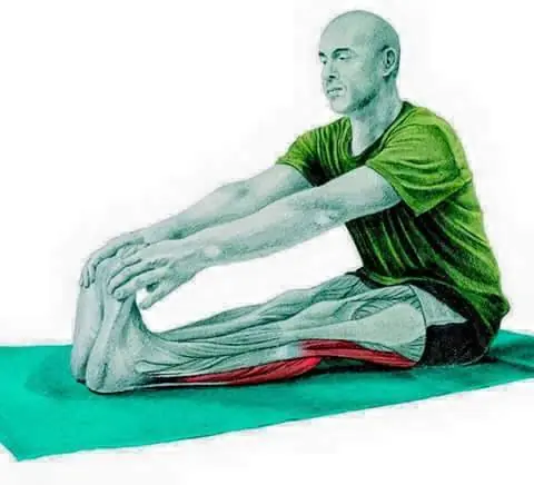 Entrenas? esto te va a servir