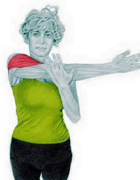 Entrenas? esto te va a servir