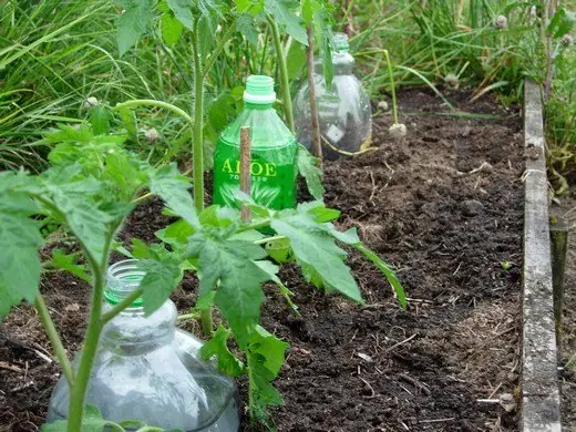 Cómo hacer riego por goteo para las plantas casero