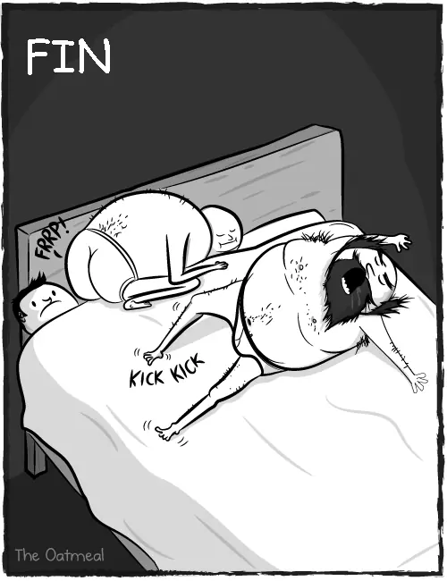 perros