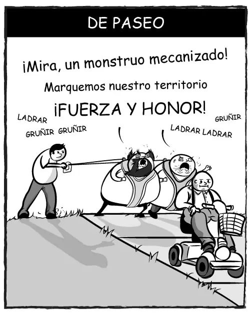 cachorros
