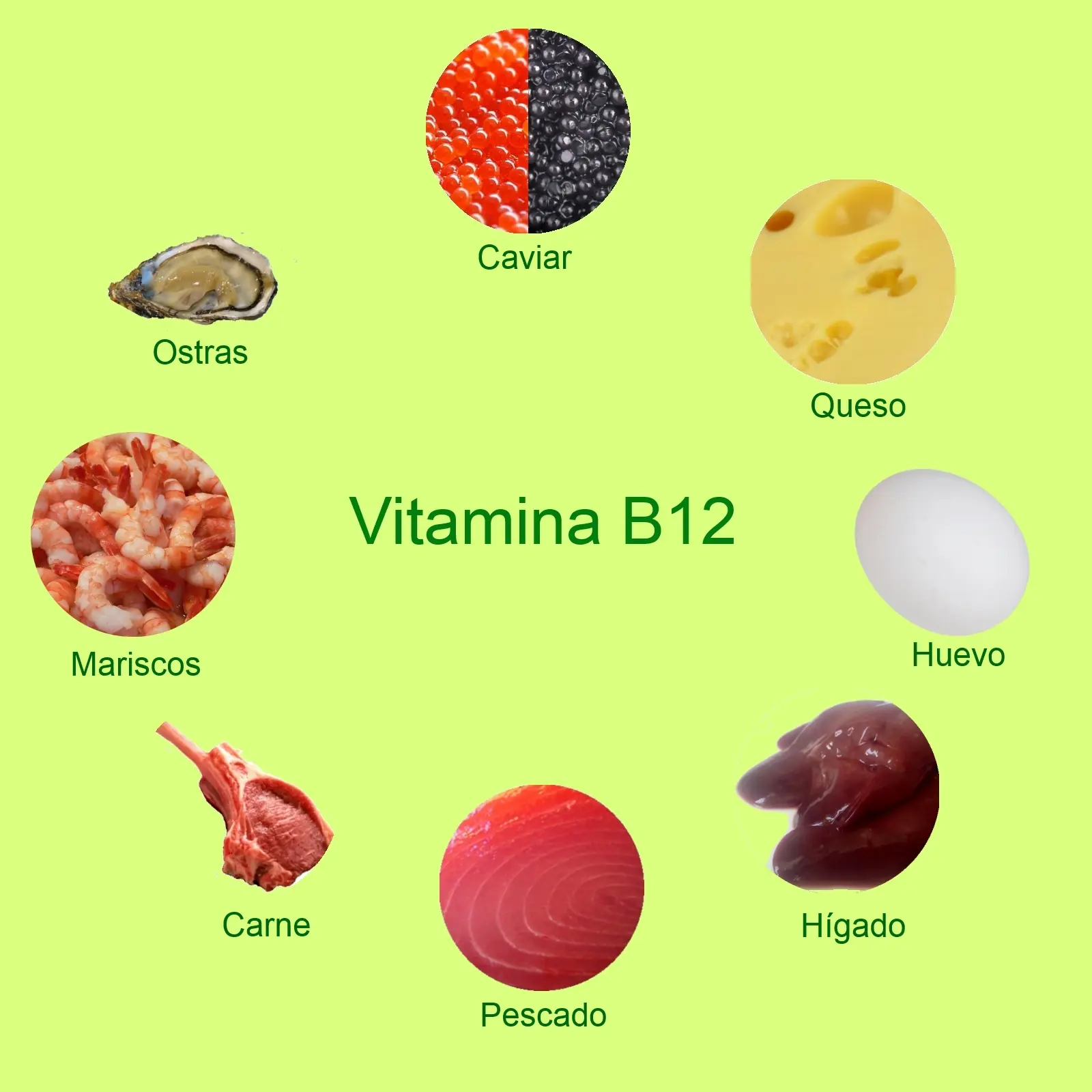 alimentacion