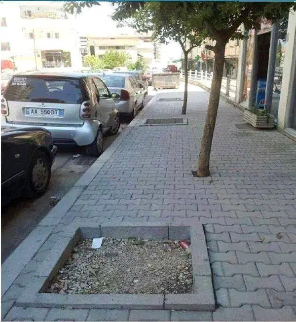 WTF