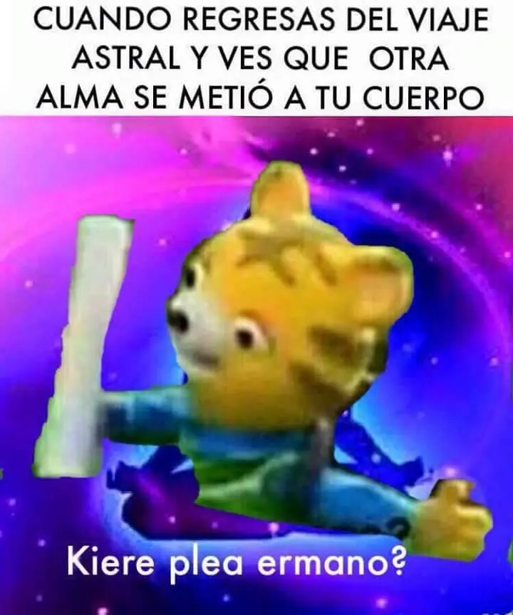 risa risa