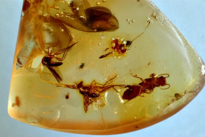 ¿Qué le pico a los dinosaurios?