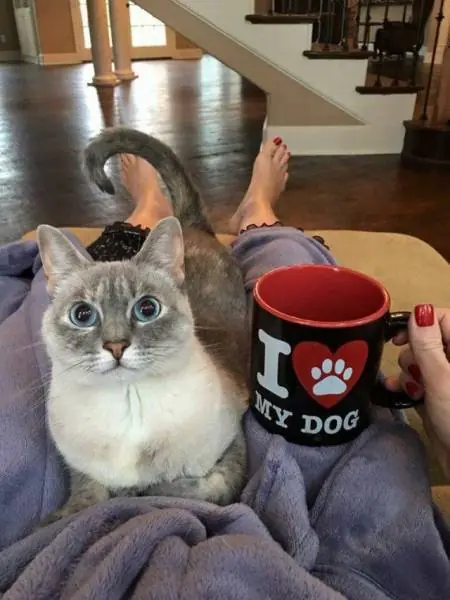 Feriado aurrido?imágenes y gifs que no viste
