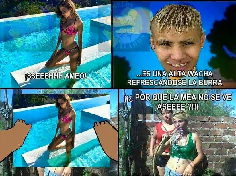 imagenes imagenes