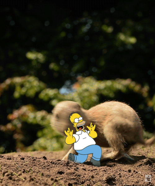 Feriado aurrido?imágenes y gifs que no viste