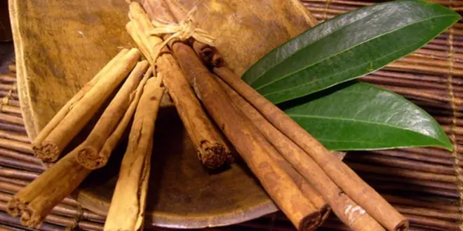 Peligros del consumo excesivo del Laurel y la Canela
