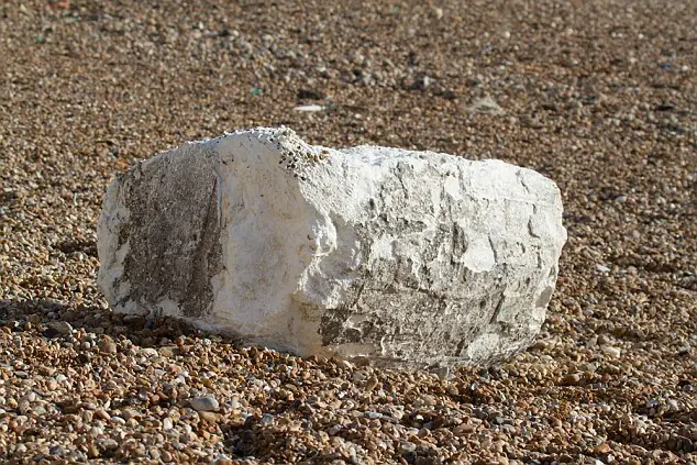 Fatbergs