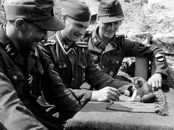 guerra