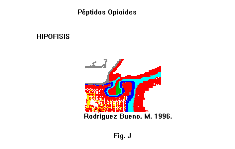 Revision Monografica   " Analgesicos Morfinicos "