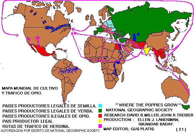 Revision Monografica " Analgesicos Morfinicos "