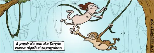 imagenes divertidas