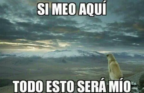 imagenes divertidas