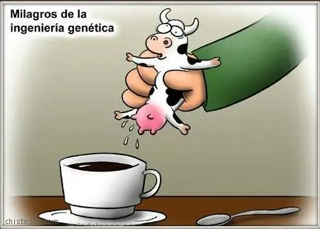humor