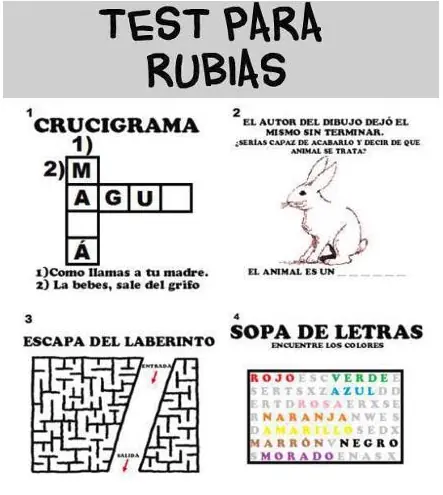 imagenes divertidas