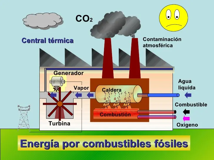 ecologia