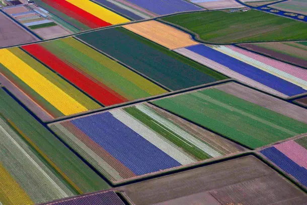 campos
