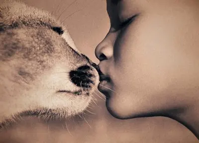 harmony