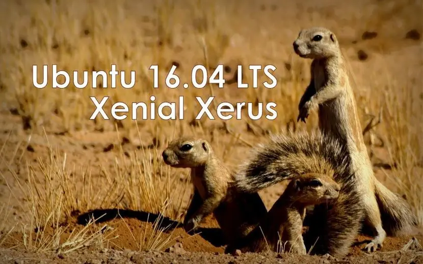 ZFS en Ubuntu 16.04 LTS y con soporte de Canonical