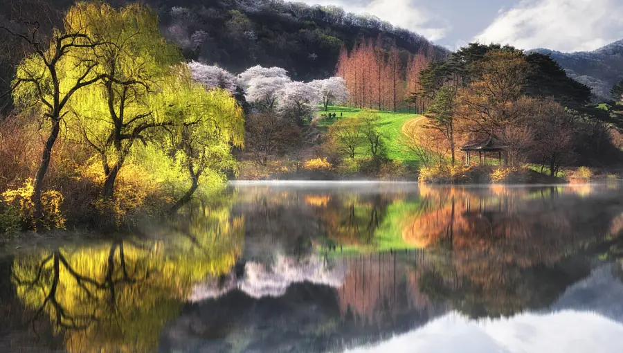 fotografia