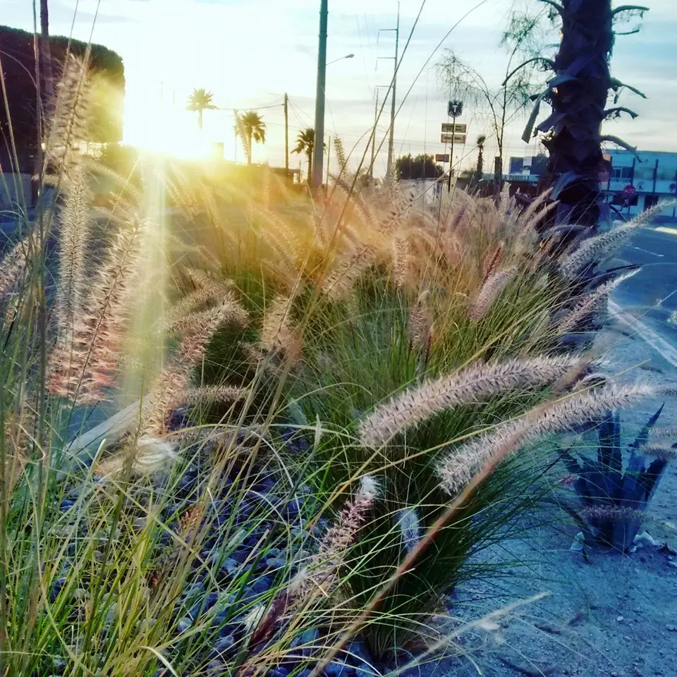 fotografia artistica