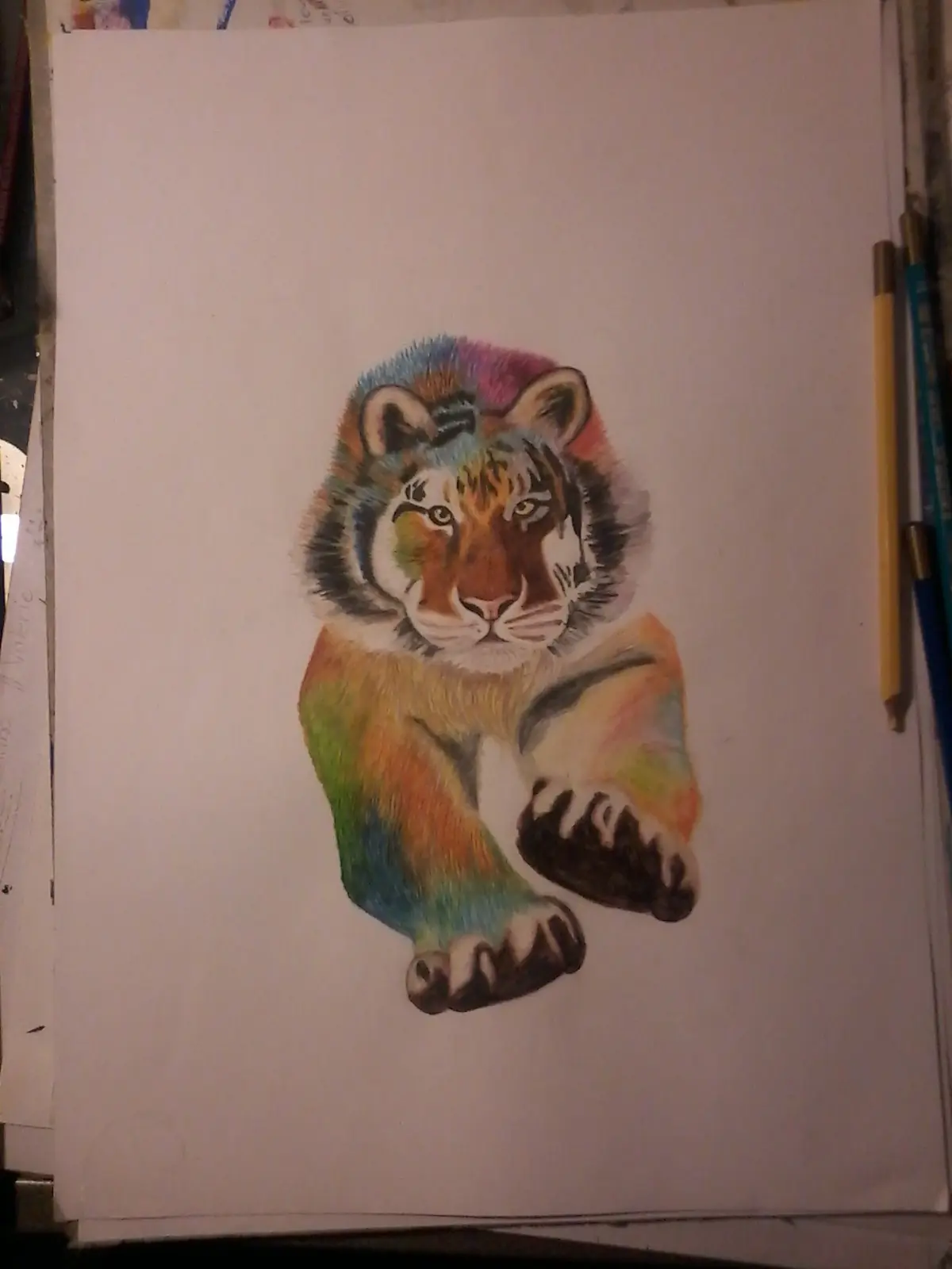 tigre tigre