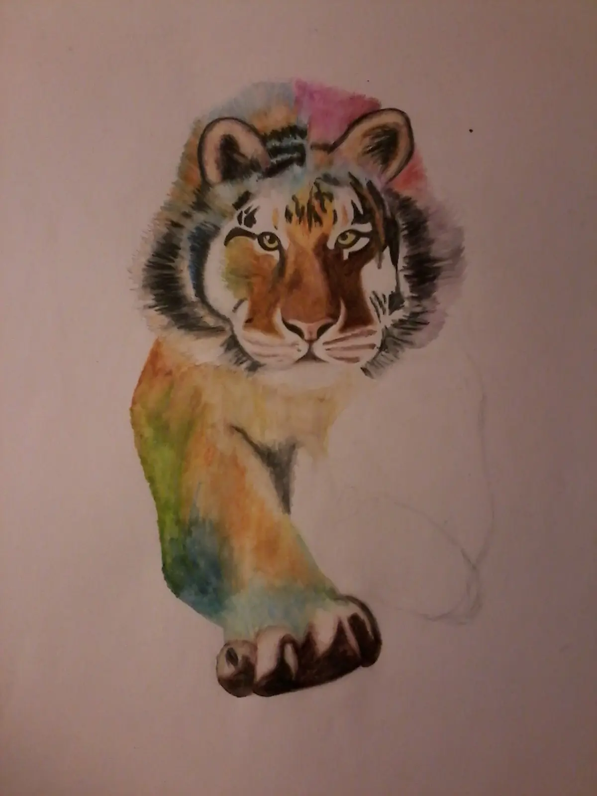 Tigre a colores! Tigre a colores!