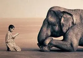 Arte - Gregory Colbert