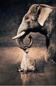 gregory colbert