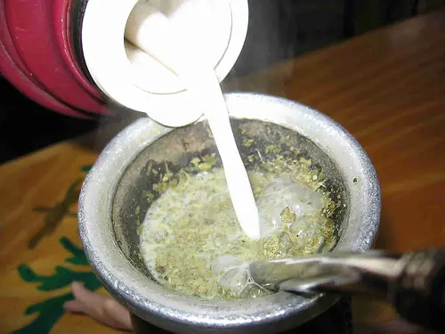 mate mate