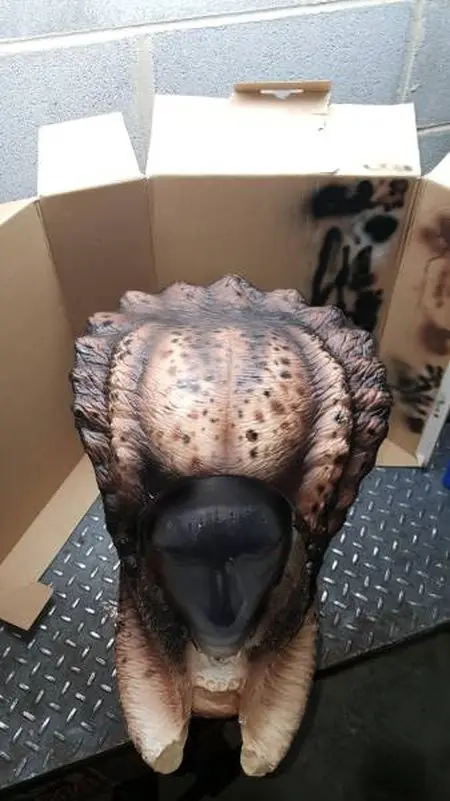 Casero