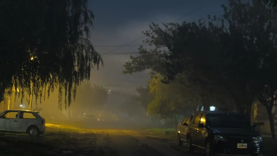 Mis fotografías de diciembre de 2015 y enero de 2016