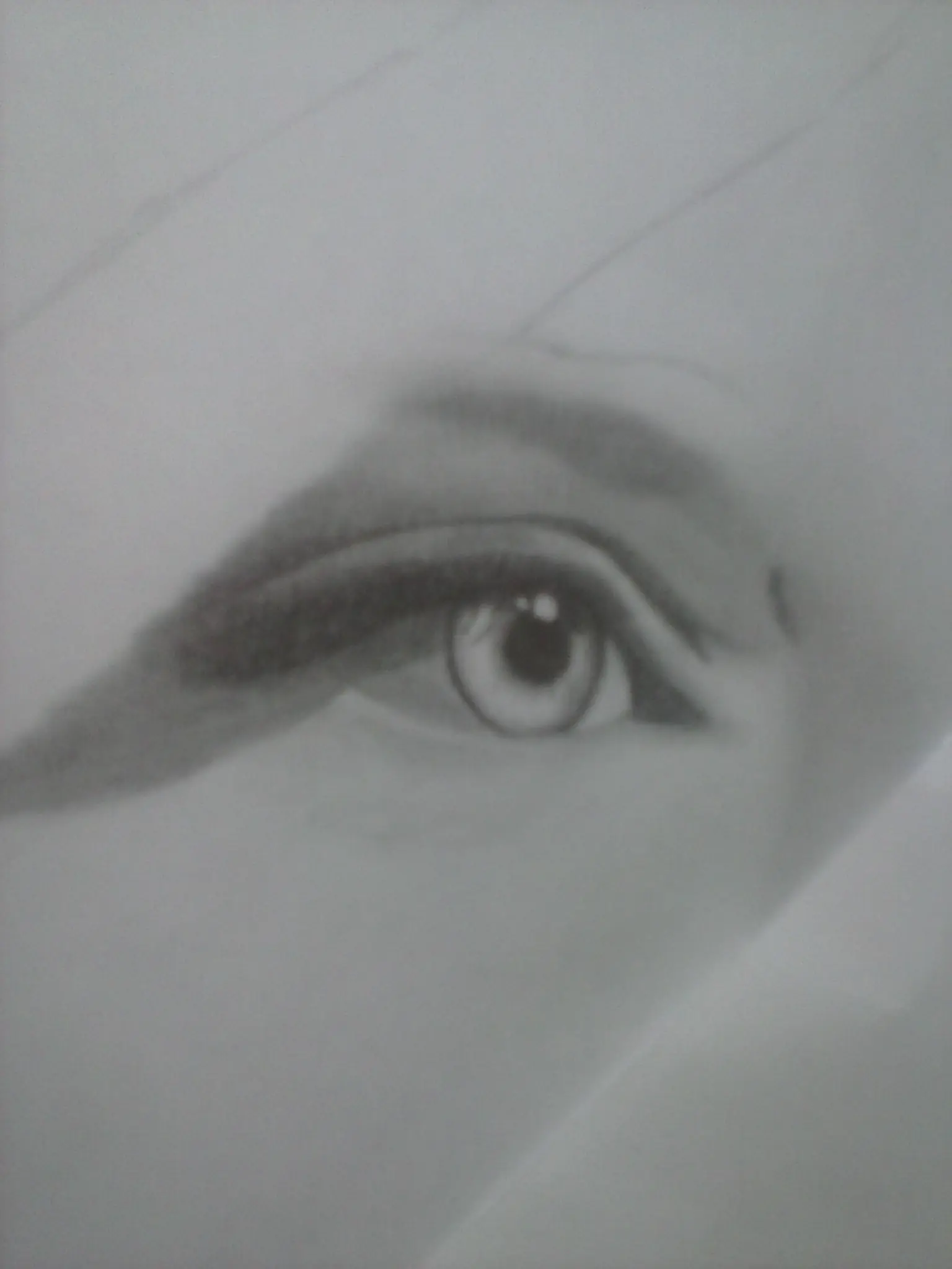 retrato