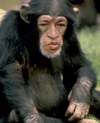 Presidentes