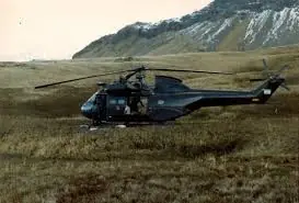 losito malvinas
