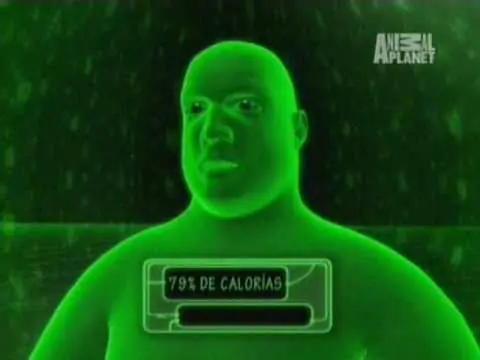 ¿Te acordás de Animal Planet al Extremo?:Megapost /Programas