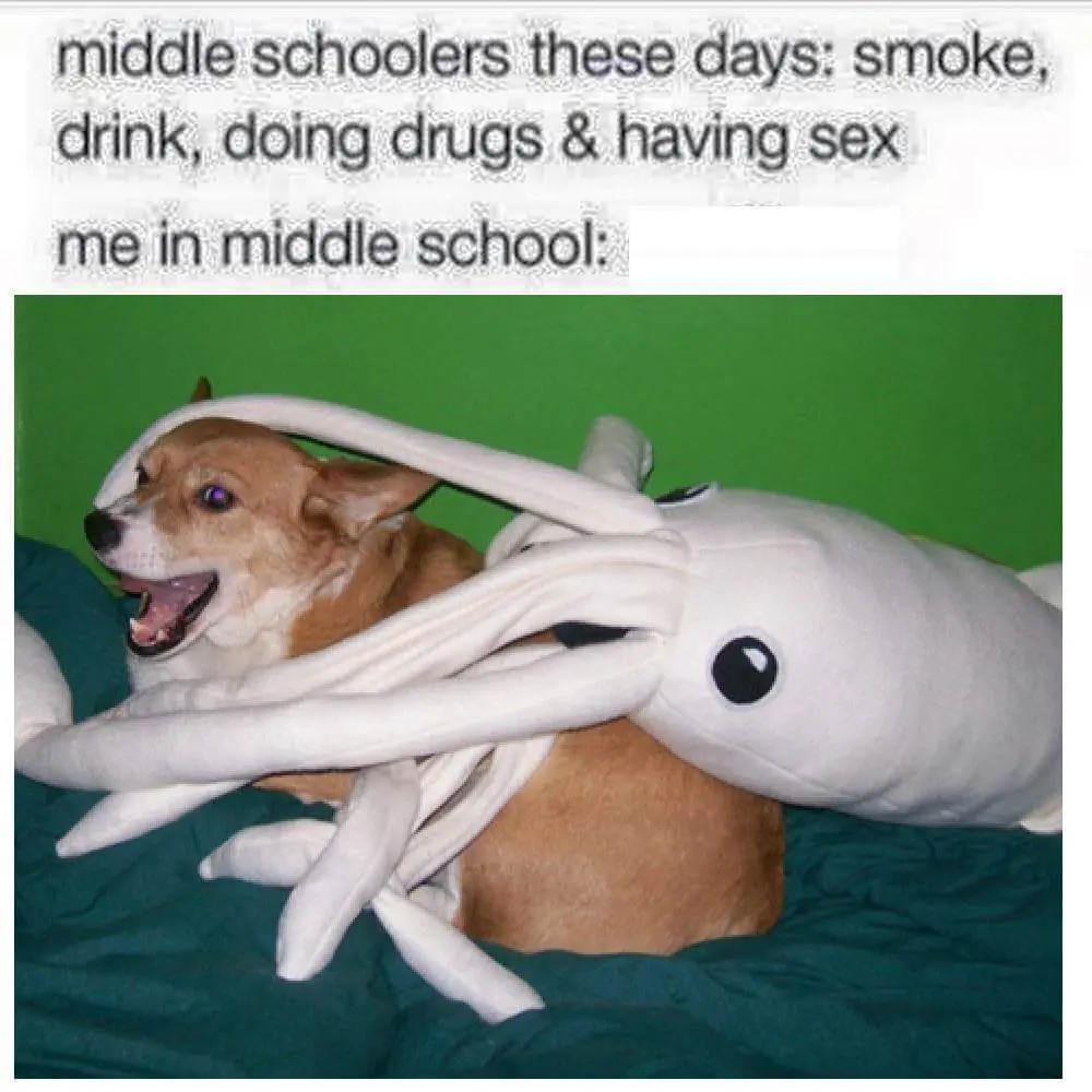 dank