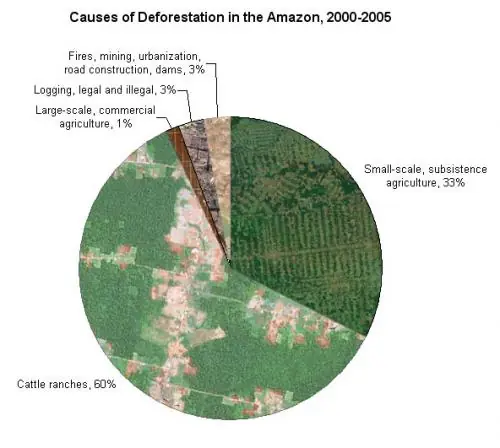 amazonia