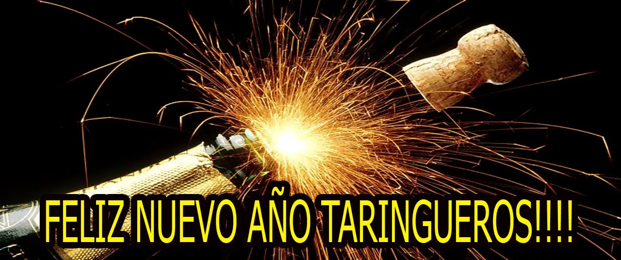 Marty Mc Fly volver al Futuro Taringuero !
