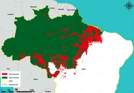 Deforestación Amazonía colombiana: alarma