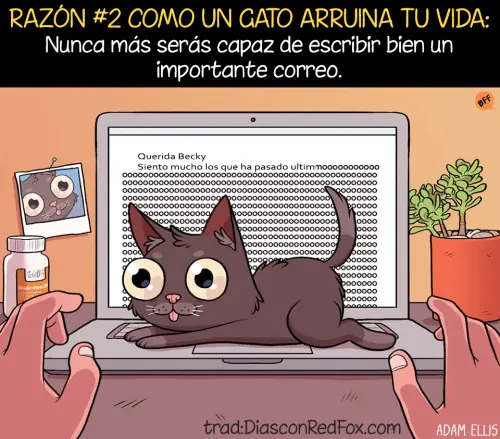 imagenes