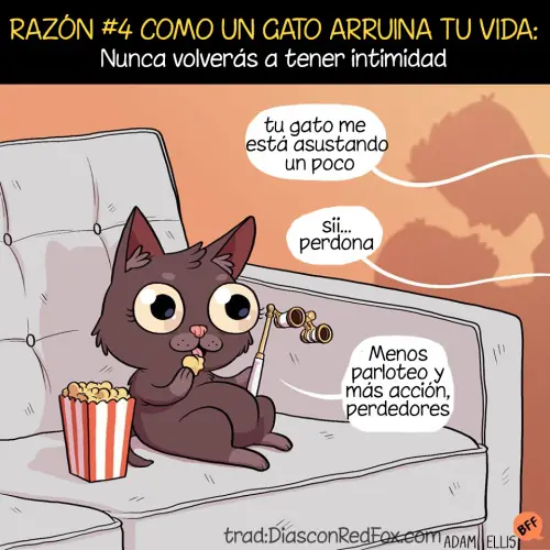 vida