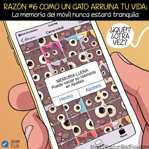 8 motivos por los que un gato arruina tu vida.